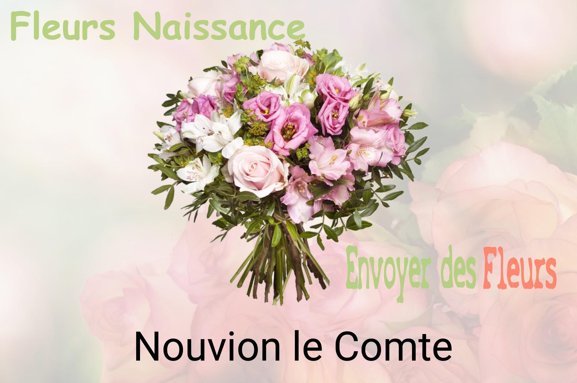 Bouquet de fleurs de naissance livré à Nouvion-le-Comte